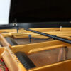 MP40 - Piano Inside View