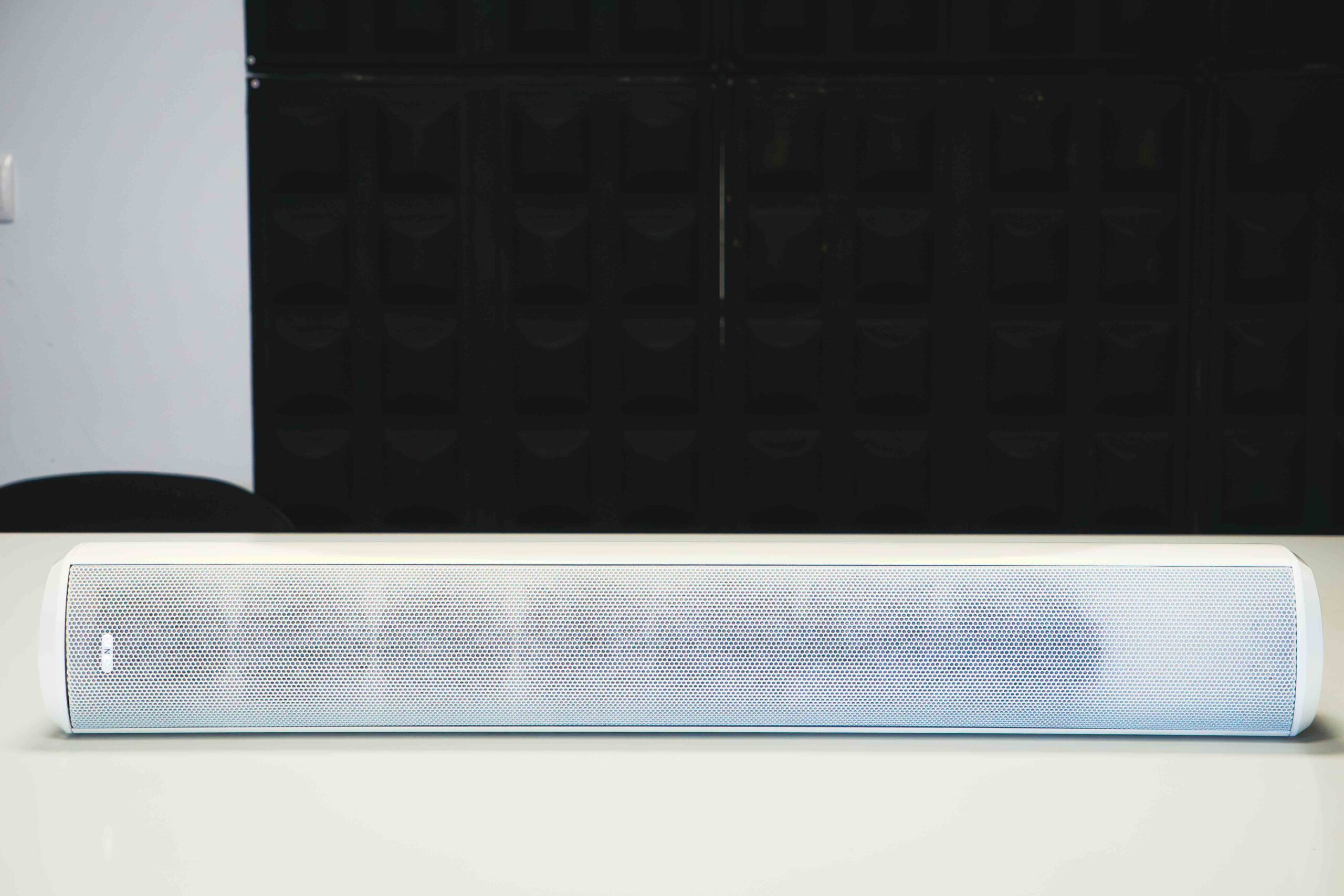 TANNOY VLS 15 - main